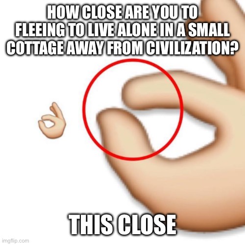 'i'm this close' | HOW CLOSE ARE YOU TO FLEEING TO LIVE ALONE IN A SMALL COTTAGE AWAY FROM CIVILIZATION? THIS CLOSE | image tagged in 'i'm this close' | made w/ Imgflip meme maker