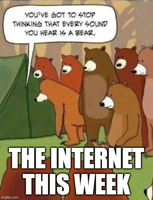 The Internet this week | THE INTERNET THIS WEEK | image tagged in bears | made w/ Imgflip meme maker