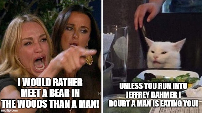 Angry lady cat | UNLESS YOU RUN INTO JEFFREY DAHMER I DOUBT A MAN IS EATING YOU! I WOULD RATHER MEET A BEAR IN THE WOODS THAN A MAN! | image tagged in angry lady cat | made w/ Imgflip meme maker
