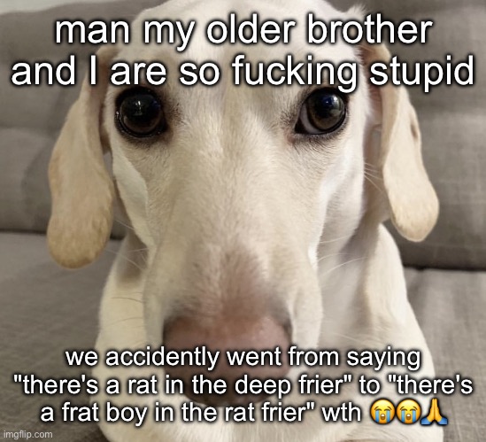 imagine not being friends w your older sibling | man my older brother and I are so fucking stupid; we accidently went from saying "there's a rat in the deep frier" to "there's a frat boy in the rat frier" wth 😭😭🙏 | image tagged in homophobic dog | made w/ Imgflip meme maker
