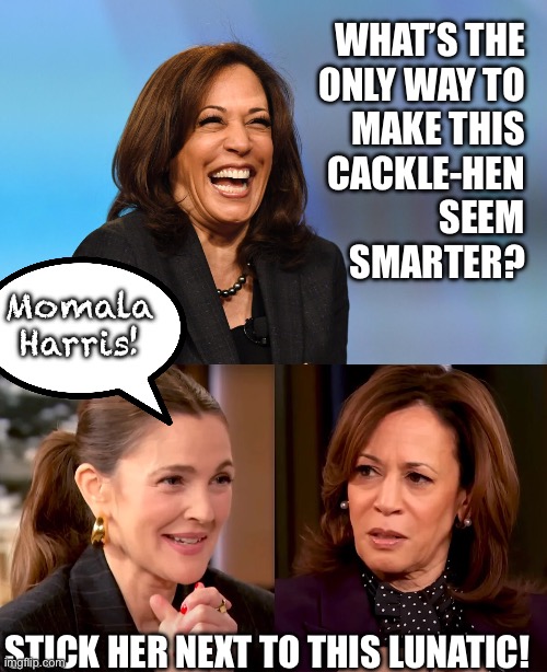 WHAT’S THE
ONLY WAY TO
MAKE THIS
CACKLE-HEN
SEEM
SMARTER? Momala
Harris! STICK HER NEXT TO THIS LUNATIC! | image tagged in kamala harris laughing | made w/ Imgflip meme maker