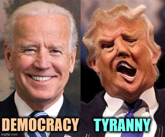 democracy vs. tyranny | DEMOCRACY; TYRANNY | image tagged in biden solid stable trump acid drugs,biden,democracy,trump,tyranny,dictator | made w/ Imgflip meme maker