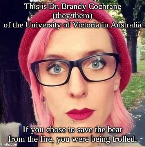 Don't save the bear | This is Dr. Brandy Cochrane
(they/them)
of the University of Victoria in Australia; If you chose to save the bear from the fire, you were being trolled. | image tagged in transgender | made w/ Imgflip meme maker