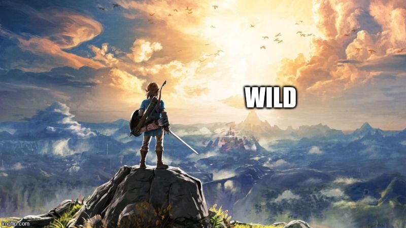 Breath of the Wild | WILD | image tagged in breath of the wild | made w/ Imgflip meme maker