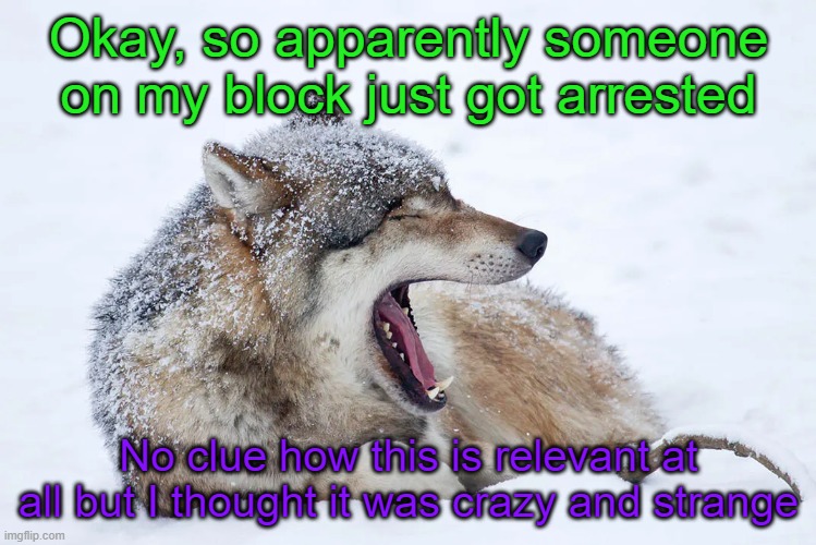 I'm not a nosy neighbor at all. It's just that when 3 freaking police cars show up to arrest someone, anybody would be curious | Okay, so apparently someone on my block just got arrested; No clue how this is relevant at all but I thought it was crazy and strange | image tagged in yawning wolf | made w/ Imgflip meme maker