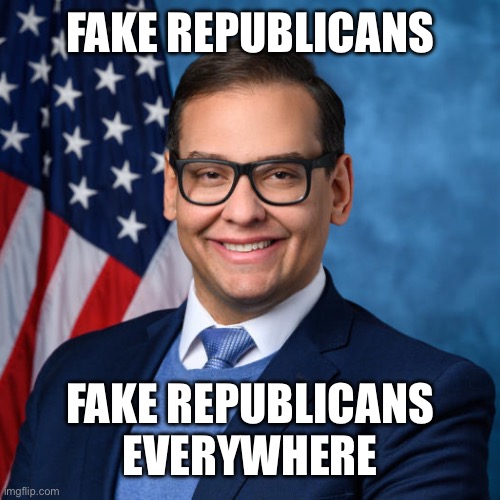 George Santos | FAKE REPUBLICANS FAKE REPUBLICANS EVERYWHERE | image tagged in george santos | made w/ Imgflip meme maker