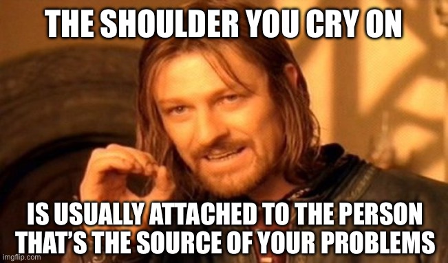 One Does Not Simply Meme | THE SHOULDER YOU CRY ON IS USUALLY ATTACHED TO THE PERSON THAT’S THE SOURCE OF YOUR PROBLEMS | image tagged in memes,one does not simply | made w/ Imgflip meme maker