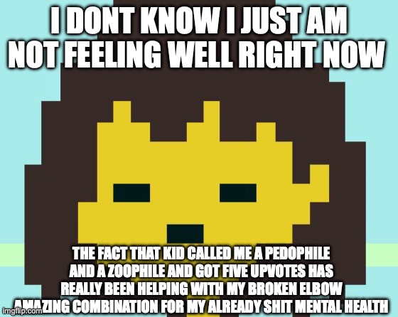 Frisk's face | I DONT KNOW I JUST AM NOT FEELING WELL RIGHT NOW; THE FACT THAT KID CALLED ME A PEDOPHILE AND A ZOOPHILE AND GOT FIVE UPVOTES HAS REALLY BEEN HELPING WITH MY BROKEN ELBOW
AMAZING COMBINATION FOR MY ALREADY SHIT MENTAL HEALTH | image tagged in frisk's face | made w/ Imgflip meme maker