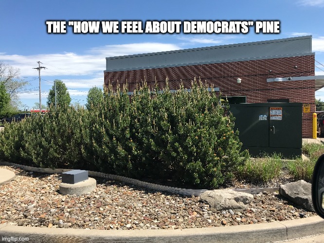 And the horse you rode in on... | THE "HOW WE FEEL ABOUT DEMOCRATS" PINE | image tagged in democrats,demokrats | made w/ Imgflip meme maker