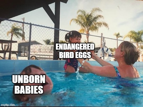 drowning kid in the pool | ENDANGERED BIRD EGGS; UNBORN BABIES | image tagged in drowning kid in the pool | made w/ Imgflip meme maker