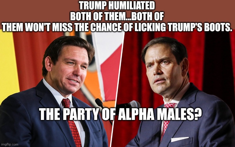 Beta conservative | TRUMP HUMILIATED BOTH OF THEM...BOTH OF THEM WON'T MISS THE CHANCE OF LICKING TRUMP'S BOOTS. THE PARTY OF ALPHA MALES? | image tagged in conservative,republican,alpha,maga,trump,democrat | made w/ Imgflip meme maker