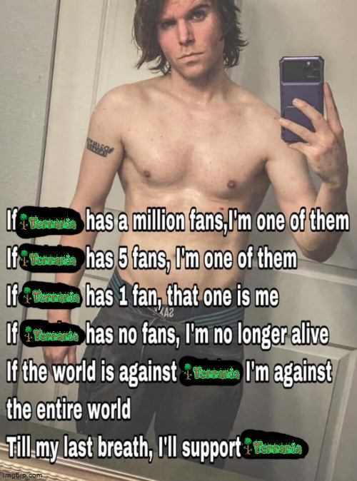 i think i like terraria | image tagged in if x has a million fans | made w/ Imgflip meme maker