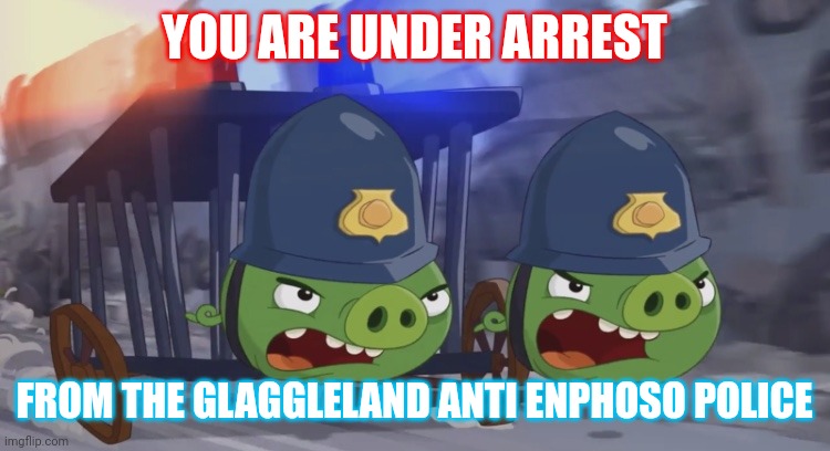 True ? | YOU ARE UNDER ARREST; FROM THE GLAGGLELAND ANTI ENPHOSO POLICE | image tagged in woop woop | made w/ Imgflip meme maker