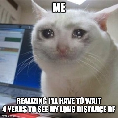Y so long | ME; REALIZING I'LL HAVE TO WAIT 4 YEARS TO SEE MY LONG DISTANCE BF | image tagged in crying cat | made w/ Imgflip meme maker