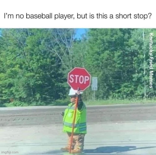 Baseball | image tagged in baseball,short,stop | made w/ Imgflip meme maker