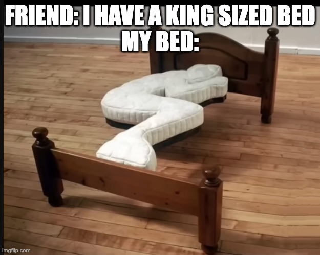Offensive memes ylyl 6 | FRIEND: I HAVE A KING SIZED BED
MY BED: | image tagged in memes,offensive,fun | made w/ Imgflip meme maker