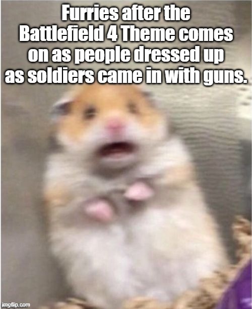 Hehehehehehe | Furries after the Battlefield 4 Theme comes on as people dressed up as soldiers came in with guns. | image tagged in scared hamster | made w/ Imgflip meme maker