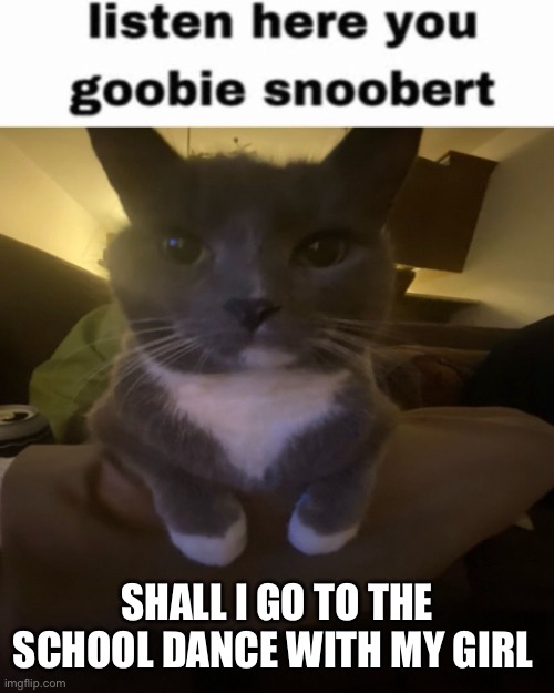 Listen here you goobie snoobert | SHALL I GO TO THE SCHOOL DANCE WITH MY GIRL | image tagged in listen here you goobie snoobert | made w/ Imgflip meme maker