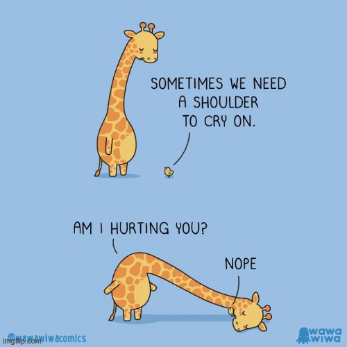 image tagged in chick,giraffe,shoulder,cry | made w/ Imgflip meme maker