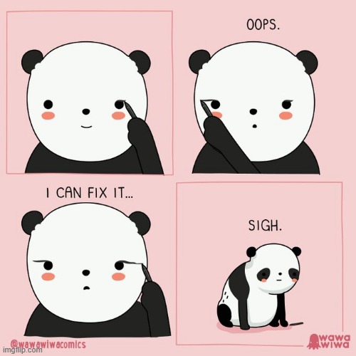image tagged in panda,eyeliner,oops | made w/ Imgflip meme maker