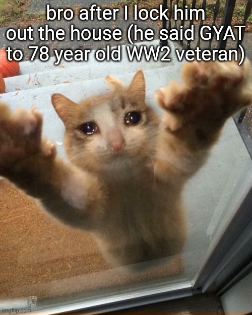 Crying sad cat trying to get into house | bro after I lock him out the house (he said GYAT to 78 year old WW2 veteran) | image tagged in crying sad cat trying to get into house | made w/ Imgflip meme maker