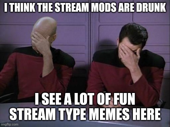 Double Facepalm | I THINK THE STREAM MODS ARE DRUNK I SEE A LOT OF FUN STREAM TYPE MEMES HERE | image tagged in double facepalm | made w/ Imgflip meme maker