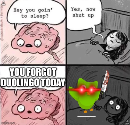 He sees you when your sleeping | YOU FORGOT DUOLINGO TODAY; YOU FORGOT DUOLINGO TODAY; YOU FORGOT DUOLINGO TODAY | image tagged in waking up brain | made w/ Imgflip meme maker