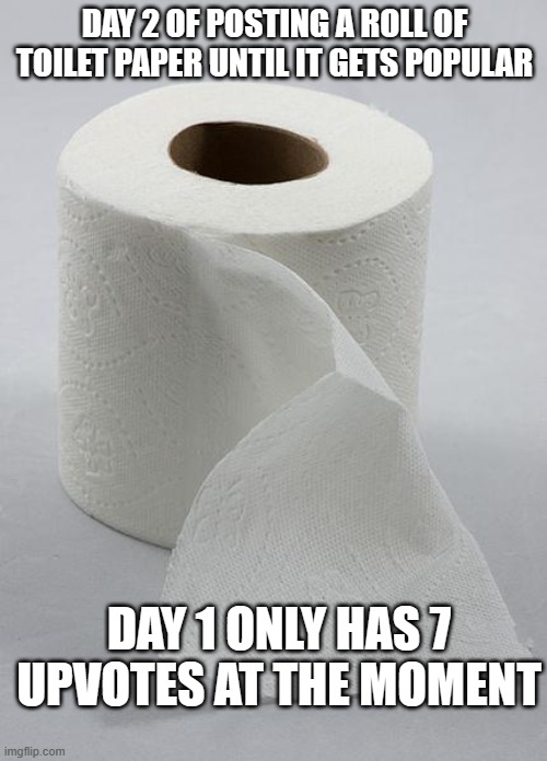 tysm for commenting and helping me begin the journey | DAY 2 OF POSTING A ROLL OF TOILET PAPER UNTIL IT GETS POPULAR; DAY 1 ONLY HAS 7 UPVOTES AT THE MOMENT | image tagged in toilet paper,journey | made w/ Imgflip meme maker