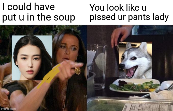 Woman Yelling At Cat Meme | I could have put u in the soup You look like u pissed ur pants lady | image tagged in memes,woman yelling at cat | made w/ Imgflip meme maker