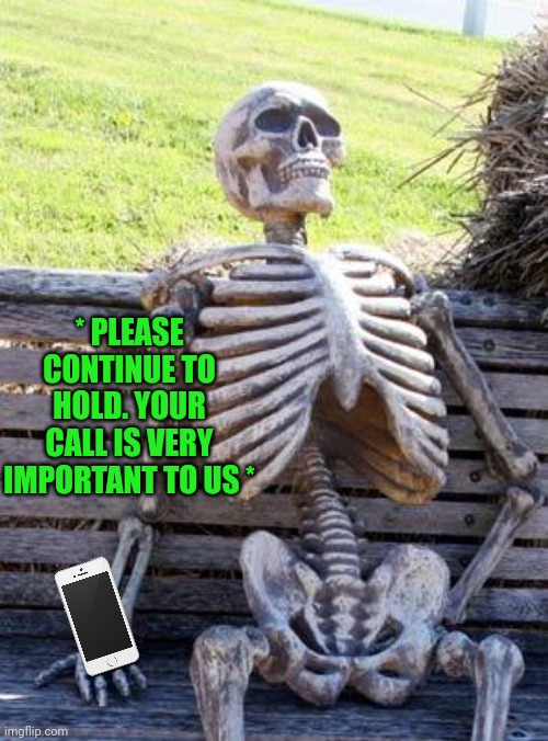 Waiting Skeleton Meme | * PLEASE CONTINUE TO HOLD. YOUR CALL IS VERY IMPORTANT TO US * | image tagged in memes,waiting skeleton | made w/ Imgflip meme maker
