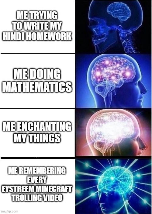 Expanding Brain | ME TRYING TO WRITE MY HINDI HOMEWORK; ME DOING MATHEMATICS; ME ENCHANTING MY THINGS; ME REMEMBERING EVERY EYSTREEM MINECRAFT TROLLING VIDEO | image tagged in memes,expanding brain | made w/ Imgflip meme maker