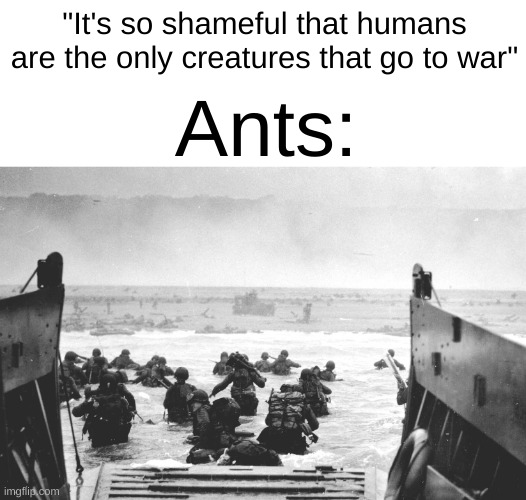 D-Day Landing | "It's so shameful that humans are the only creatures that go to war"; Ants: | image tagged in d-day landing | made w/ Imgflip meme maker
