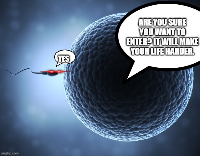 when you can't predict the future | ARE YOU SURE YOU WANT TO ENTER? IT WILL MAKE YOUR LIFE HARDER. YES | image tagged in sperm and egg,poor,sperm | made w/ Imgflip meme maker