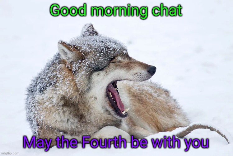 It's Star Wars Day!!! | Good morning chat; May the Fourth be with you | image tagged in yawning wolf | made w/ Imgflip meme maker