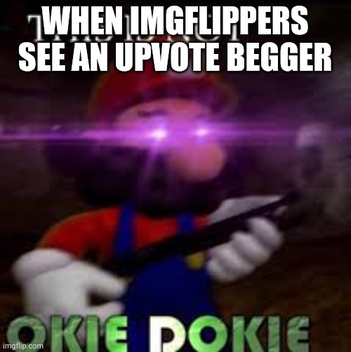 This is not okie dokie | WHEN IMGFLIPPERS SEE AN UPVOTE BEGGER | image tagged in this is not okie dokie | made w/ Imgflip meme maker