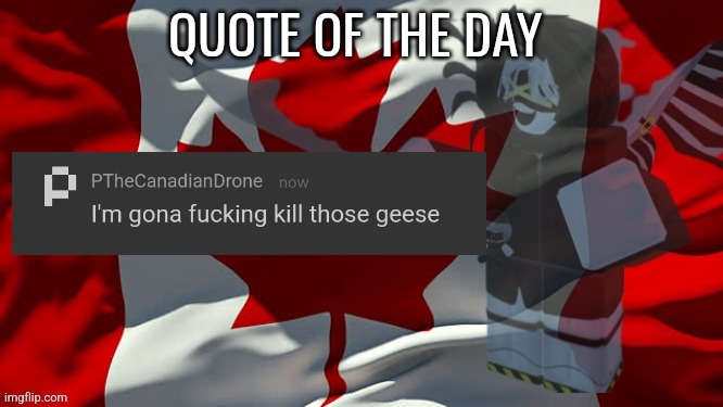 Canada geese are coming back UUUGGHHHHHH | image tagged in quote of the day | made w/ Imgflip meme maker