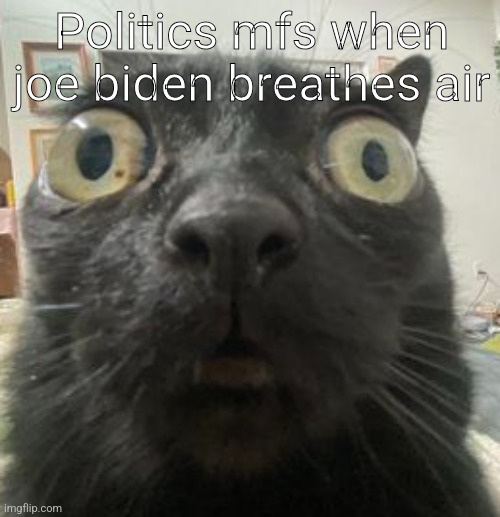 Jinx Staring | Politics mfs when joe biden breathes air | image tagged in jinx staring | made w/ Imgflip meme maker