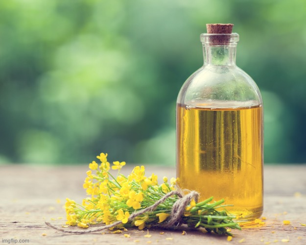 Rapeseed oil | image tagged in rapeseed oil | made w/ Imgflip meme maker