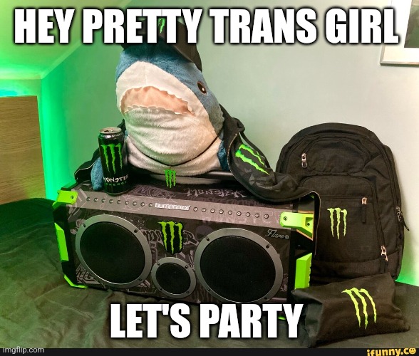 Party Blahaj | HEY PRETTY TRANS GIRL; LET'S PARTY | image tagged in transgender | made w/ Imgflip meme maker