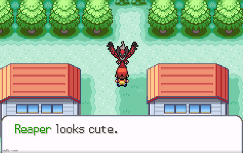 Yeah right | image tagged in pokemon,radical,red,yveltal,cute | made w/ Imgflip meme maker