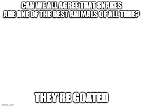 CAN WE ALL AGREE THAT SNAKES ARE ONE OF THE BEST ANIMALS OF ALL TIME? THEY'RE GOATED | made w/ Imgflip meme maker