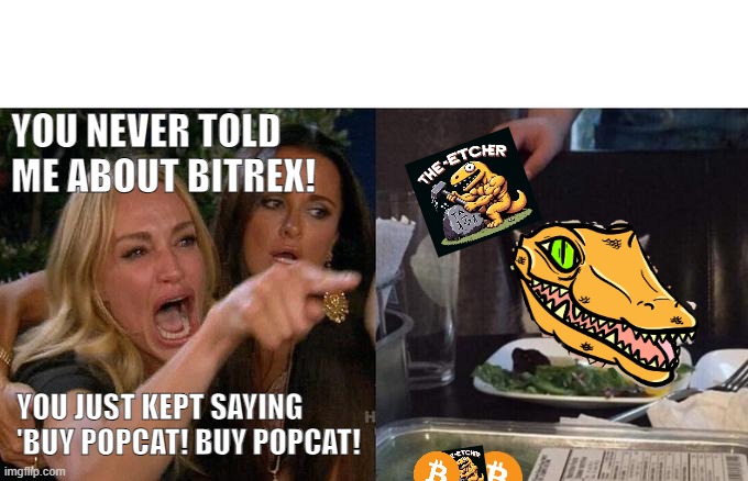 Woman Yelling At Cat Meme | YOU NEVER TOLD ME ABOUT BITREX! YOU JUST KEPT SAYING 'BUY POPCAT! BUY POPCAT! | image tagged in memes,woman yelling at cat | made w/ Imgflip meme maker