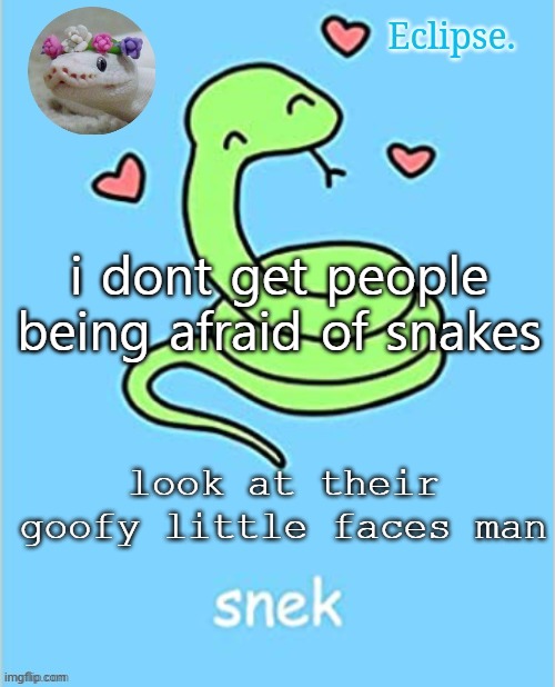 . | i dont get people being afraid of snakes; look at their goofy little faces man | image tagged in h | made w/ Imgflip meme maker