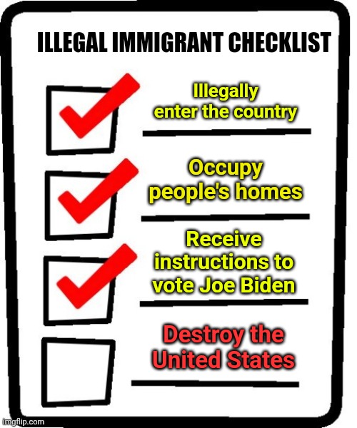 If you don't think this is the goal... You've got your head in the sand | ILLEGAL IMMIGRANT CHECKLIST; Illegally enter the country; Occupy people's homes; Receive instructions to vote Joe Biden; Destroy the United States | image tagged in long checklist | made w/ Imgflip meme maker