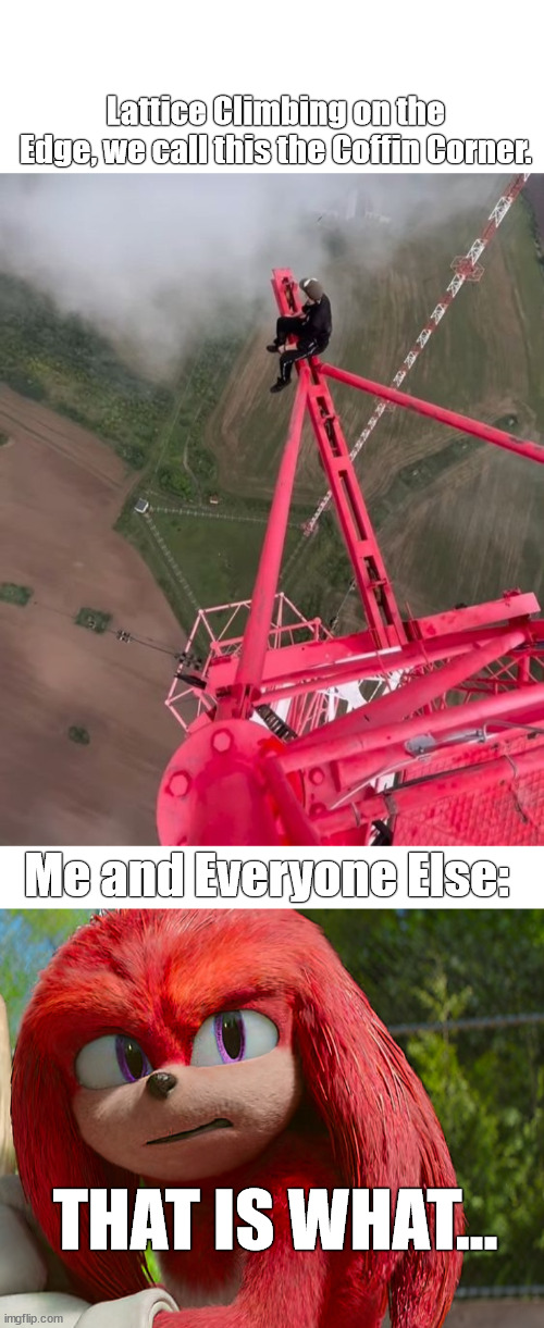 Extreme Sports | Lattice Climbing on the Edge, we call this the Coffin Corner. Me and Everyone Else:; THAT IS WHAT... | image tagged in knuckles,lattice climbing,extreme sport,climbing,sport,template | made w/ Imgflip meme maker