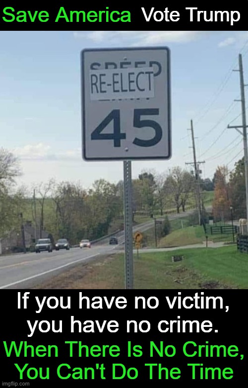 Vote Trump; Save America; If you have no victim, 
you have no crime. When There Is No Crime,
You Can't Do The Time | image tagged in donald trump,election,voting,signs,funny signs,political humor | made w/ Imgflip meme maker