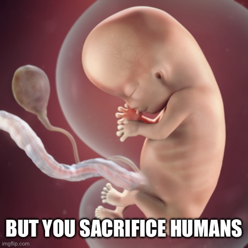 10 Week Fetus | BUT YOU SACRIFICE HUMANS | image tagged in 10 week fetus | made w/ Imgflip meme maker