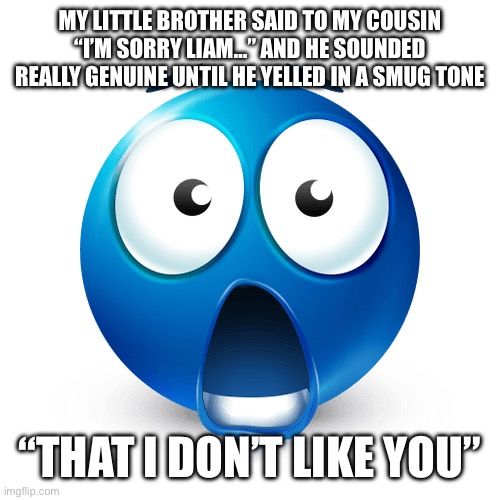 Wowzers | MY LITTLE BROTHER SAID TO MY COUSIN “I’M SORRY LIAM…” AND HE SOUNDED REALLY GENUINE UNTIL HE YELLED IN A SMUG TONE; “THAT I DON’T LIKE YOU” | image tagged in wowzers | made w/ Imgflip meme maker