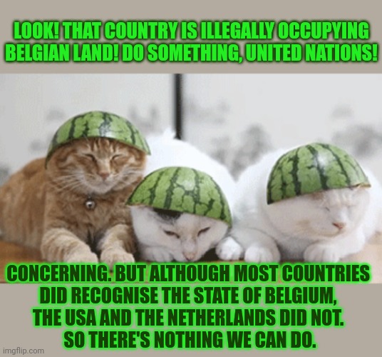 This #lolcat wonders about your response if the meme said P*lestine instead of Belgium | LOOK! THAT COUNTRY IS ILLEGALLY OCCUPYING BELGIAN LAND! DO SOMETHING, UNITED NATIONS! CONCERNING. BUT ALTHOUGH MOST COUNTRIES 
DID RECOGNISE THE STATE OF BELGIUM, 

THE USA AND THE NETHERLANDS DID NOT. 
SO THERE'S NOTHING WE CAN DO. | image tagged in hypocrisy,because capitalism,unfair,palestine,lolcat | made w/ Imgflip meme maker