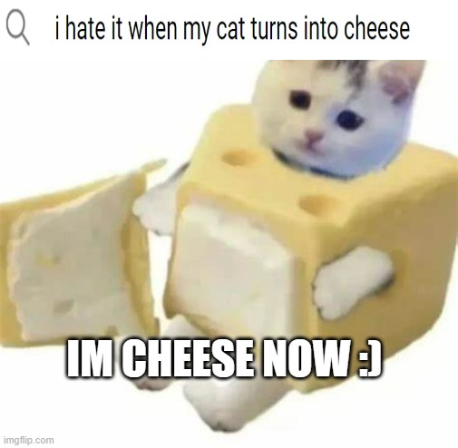 Bro must watch its weight | IM CHEESE NOW :) | made w/ Imgflip meme maker